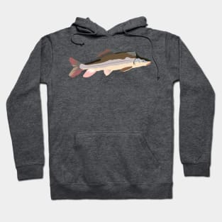 Razorback Sucker Hoodie